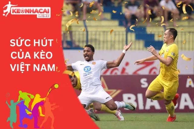 Các tỷ lệ bóng đá Việt Nam đang rất đáng xem
