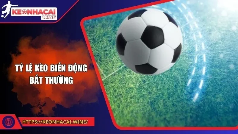 Tỷ Lệ Kèo Biến Động Bất Thường - Nguyên Nhân Và Cách Ứng Phó