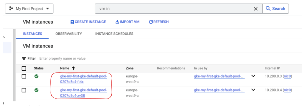 GKE VM Instances 