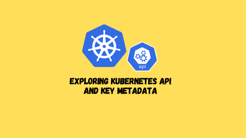 Exploring Kubernetes API and Key Metadata
